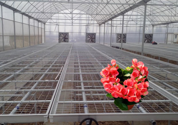 1472627587641677.jpg 客戶眼中大圖1.jpg