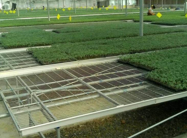 <a href='http://m.empapersblog.com/miaochuangsheshi/199.html'target='_blank'>育苗床</a>.jpg